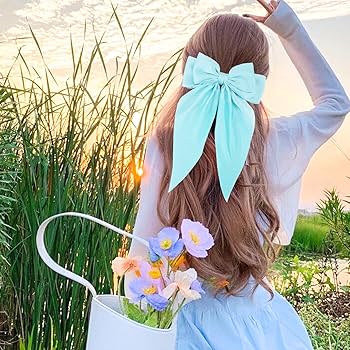 Amazon.com : Zkptops 4Pcs Hair Bow Clips for Women Girls